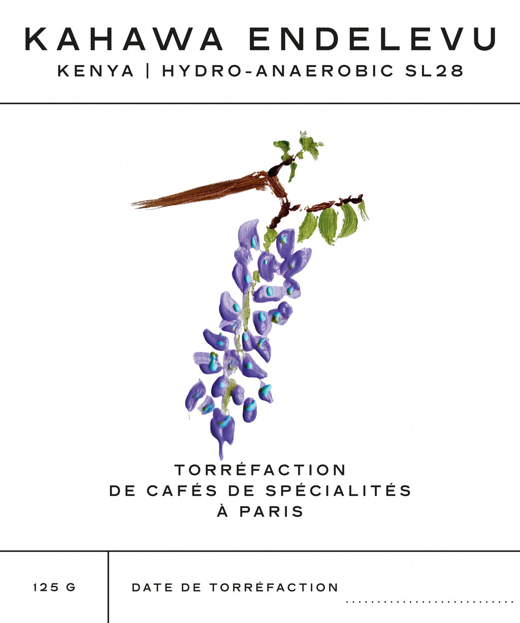 125g de café Hydro-anaerobic Pure SL28 Kenya